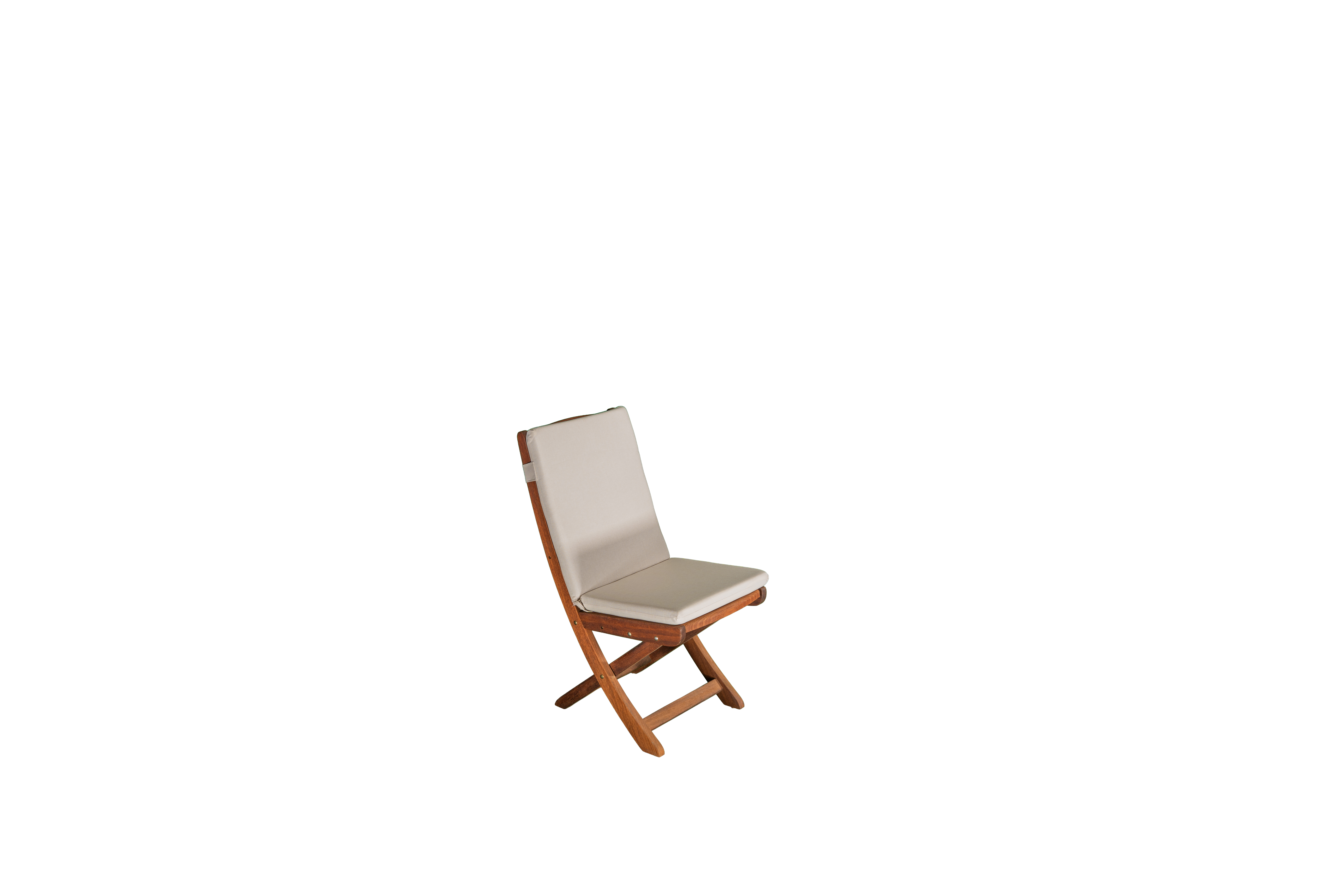 Albatros Masa